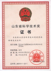 山东省科技进步一等奖-复杂油气...